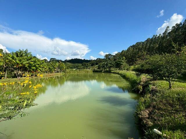 #772 - Sítio para Venda em Belo Oriente - MG - 3