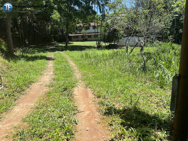 #951 - Chácara para Venda em Ipaba - MG - 2