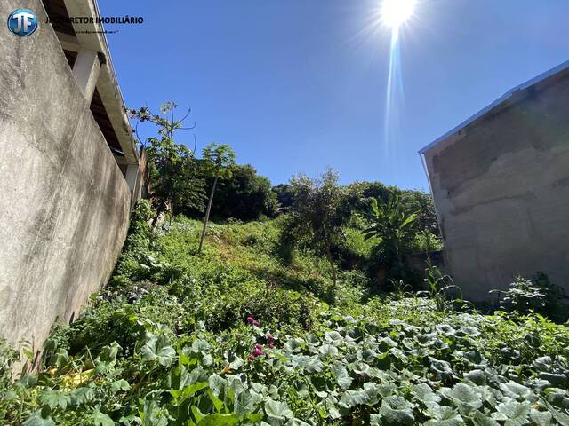 #987 - Área para Venda em Ipatinga - MG - 1