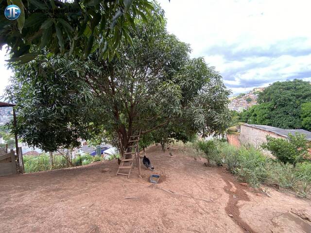 Casa para Venda em Ipatinga - 5