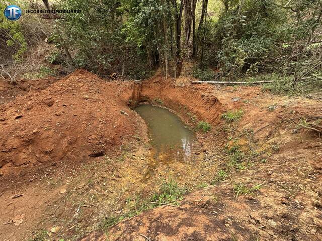 #1208 - Área para Venda em Ipaba - MG - 3