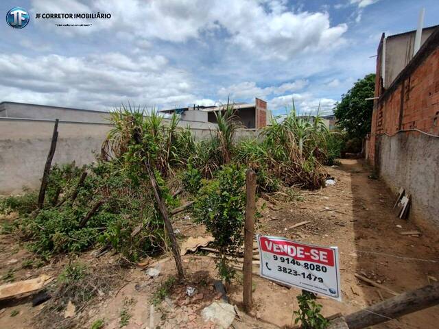 #1219 - Área para Venda em Caratinga - MG - 1