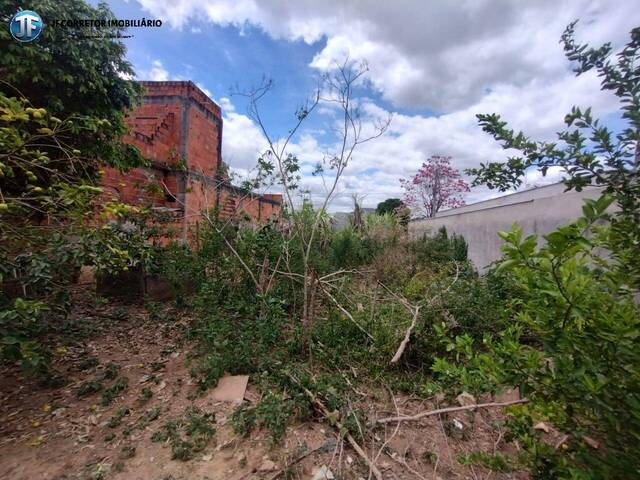 Área para Venda em Caratinga - 4