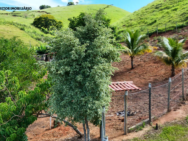 #1273 - Chácara para Venda em Inhapim - MG