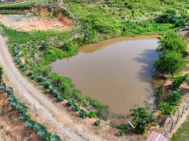 Chácara para Venda em Inhapim - 5