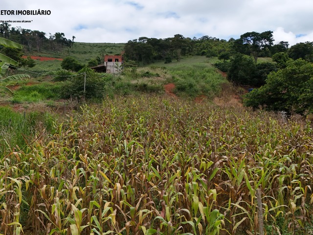 #1283 - Chácara para Venda em Iapu - MG - 2
