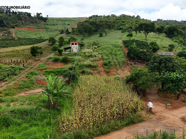 #1283 - Chácara para Venda em Iapu - MG - 3