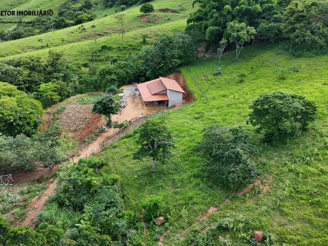 #1306 - Chácara para Venda em Ipaba - MG - 3