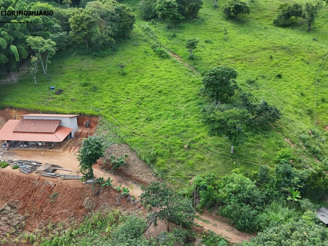 #1306 - Chácara para Venda em Ipaba - MG - 1