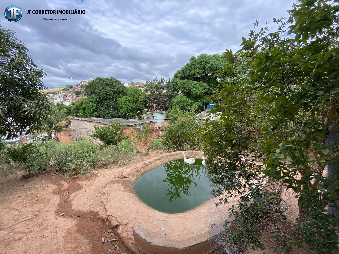 Casa, 4 quartos - Foto 4