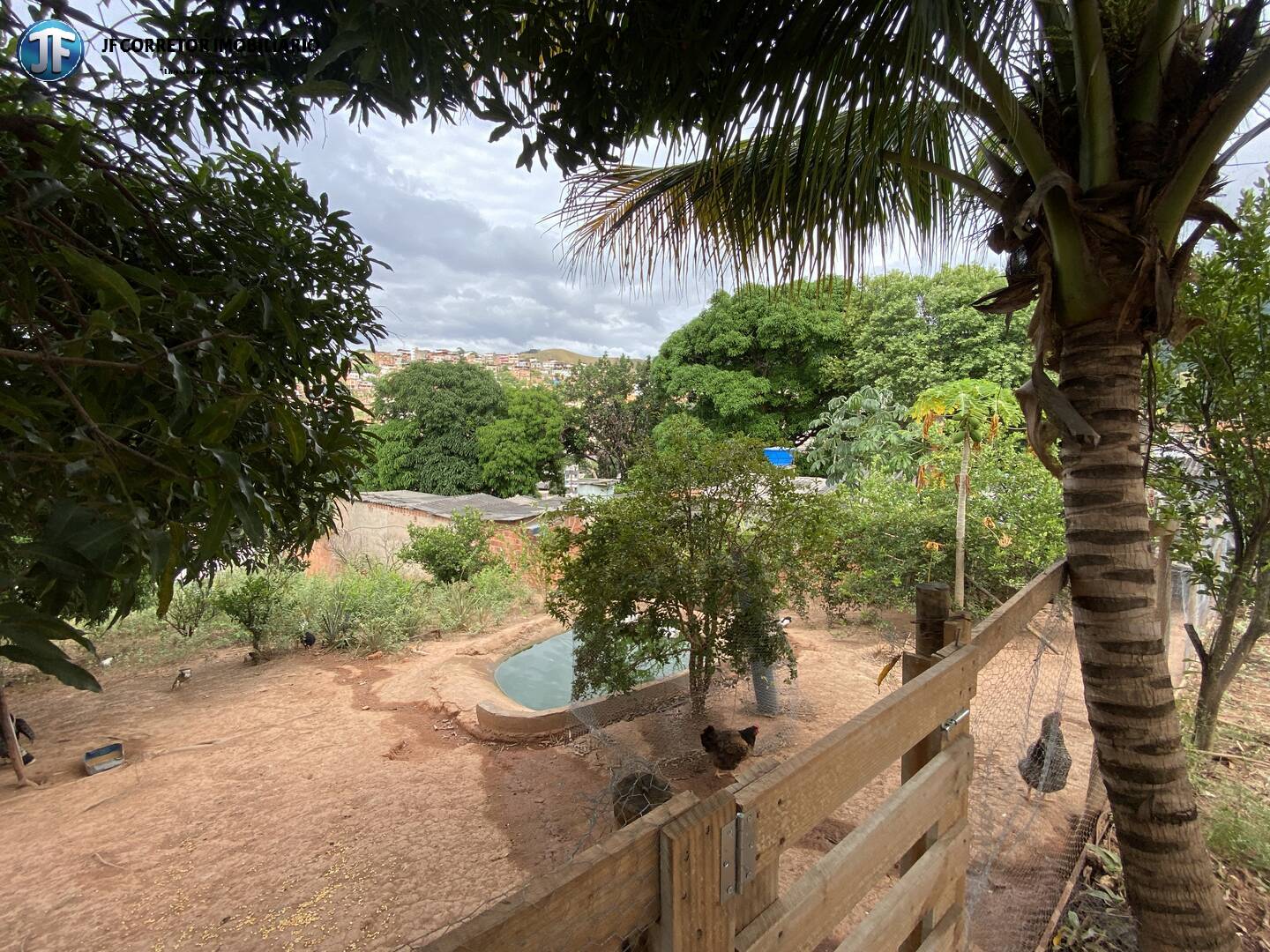 Casa, 4 quartos - Foto 6