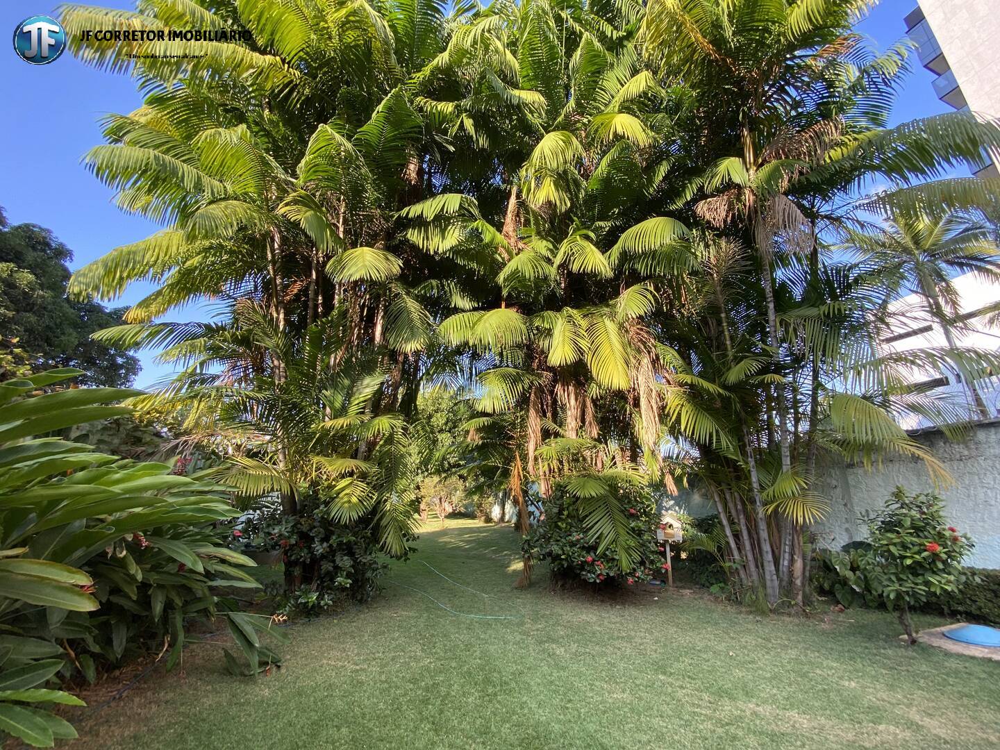 Casa, 3 quartos - Foto 28