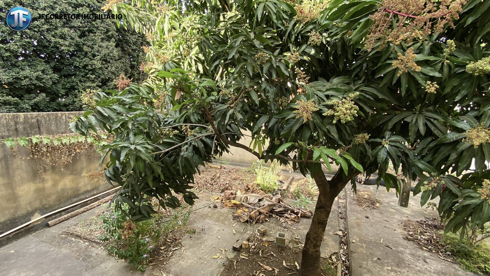 Casa à venda com 5 quartos, 360m² - Foto 19