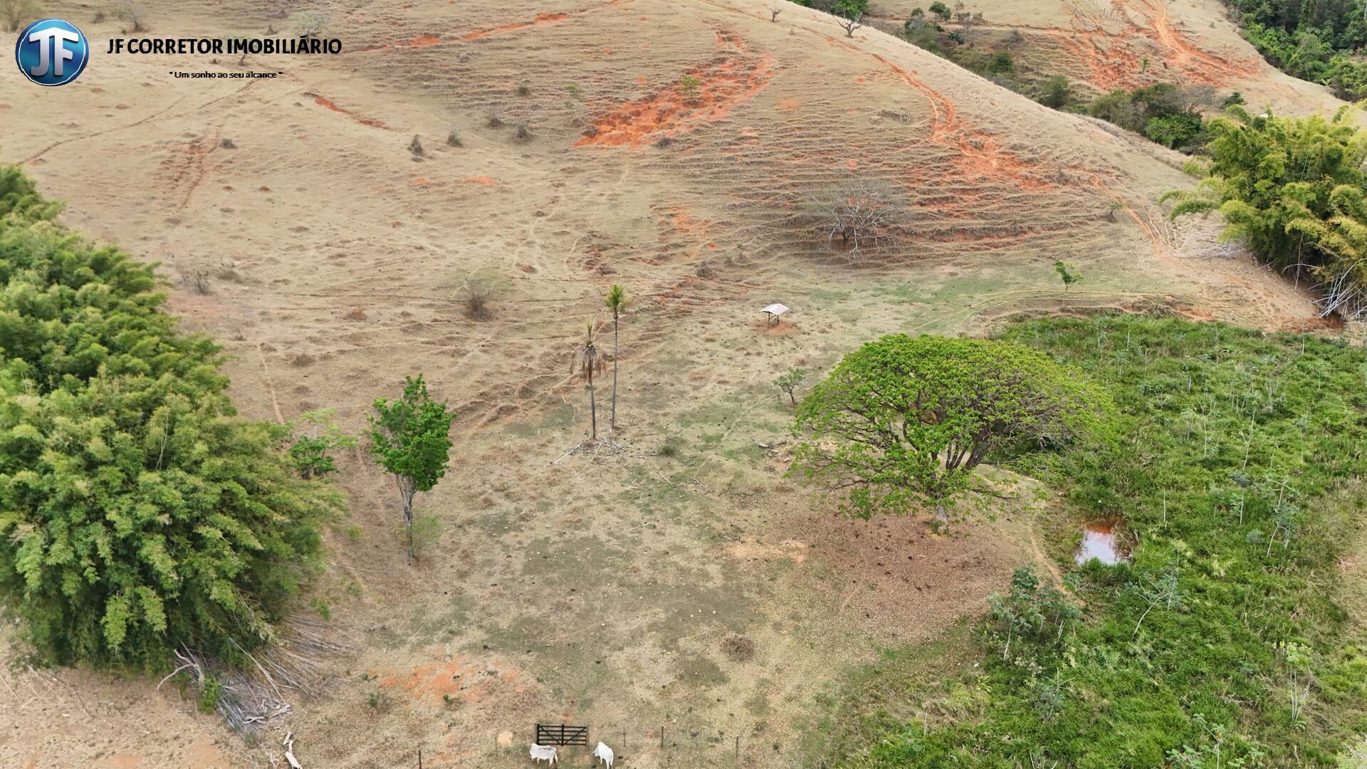 Sítio, 3 quartos, 10 m² - Foto 15