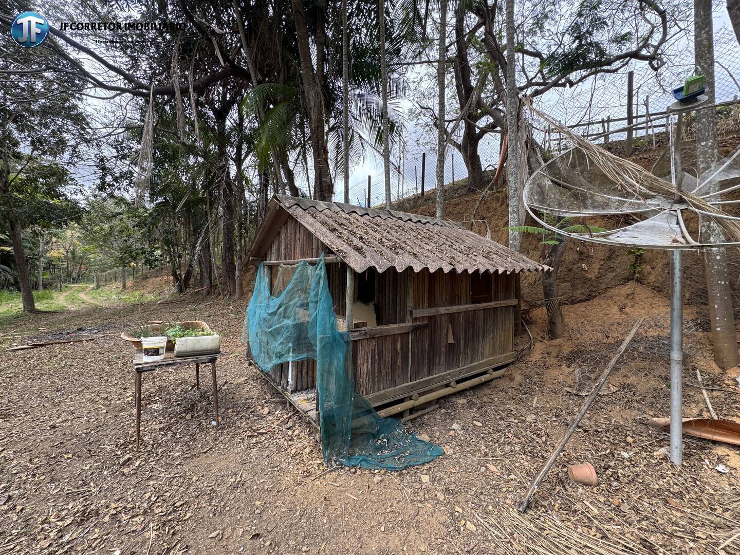 Sítio, 3 quartos, 5000 m² - Foto 17