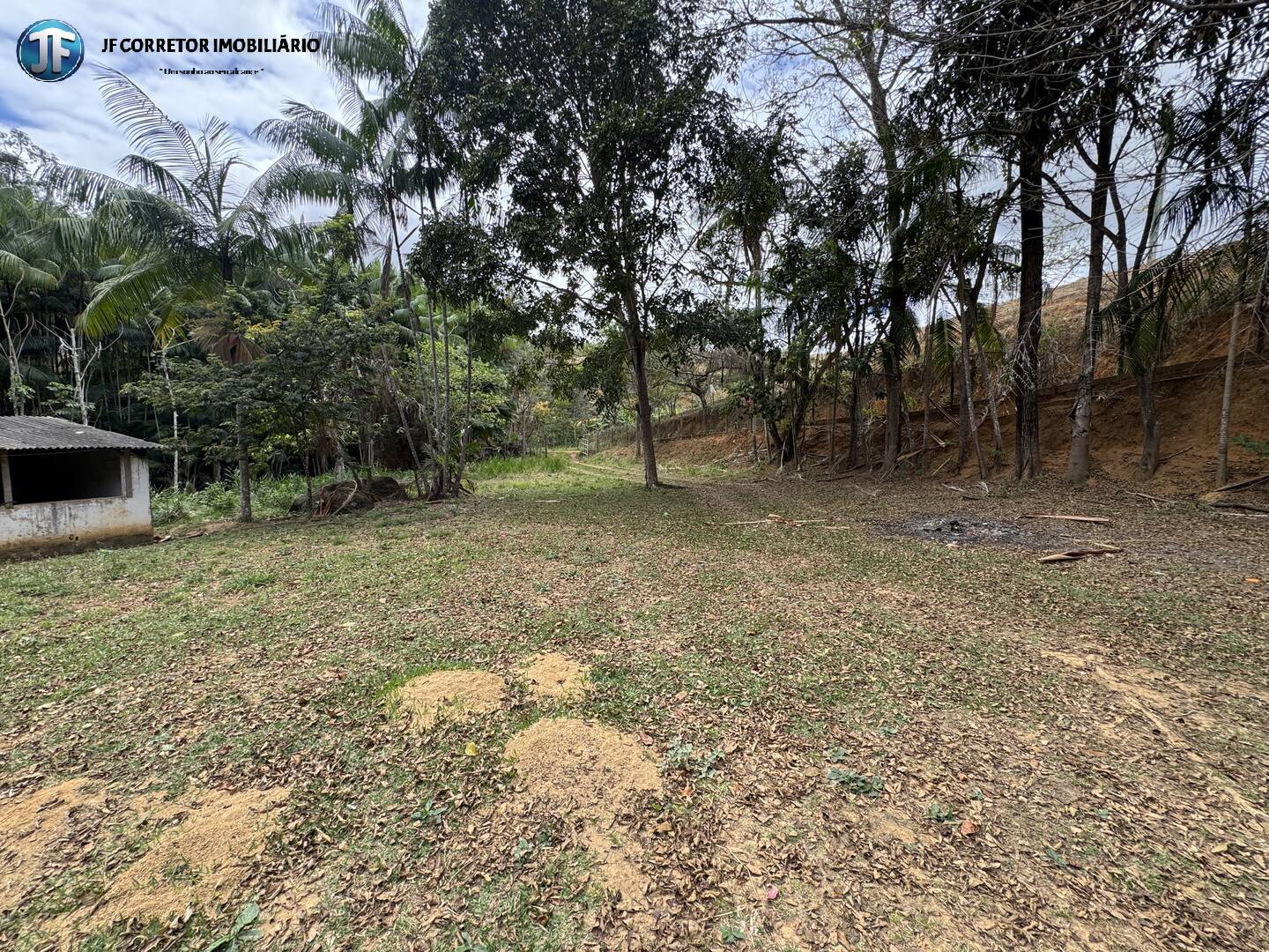 Sítio, 3 quartos, 5000 m² - Foto 19