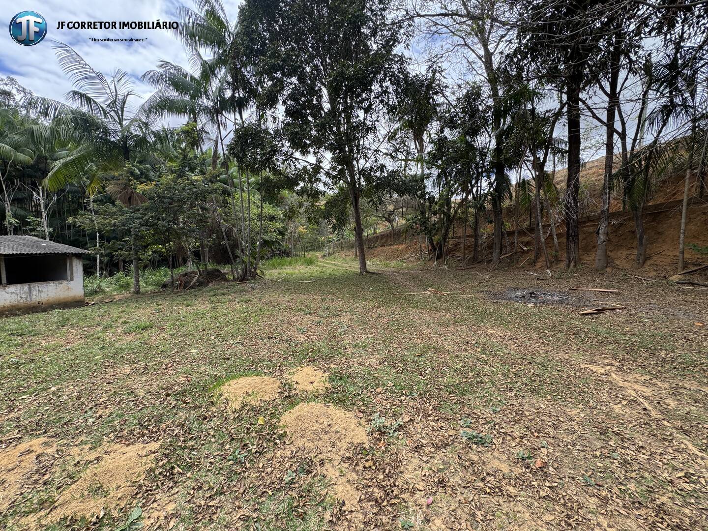 Sítio, 3 quartos, 5000 m² - Foto 20