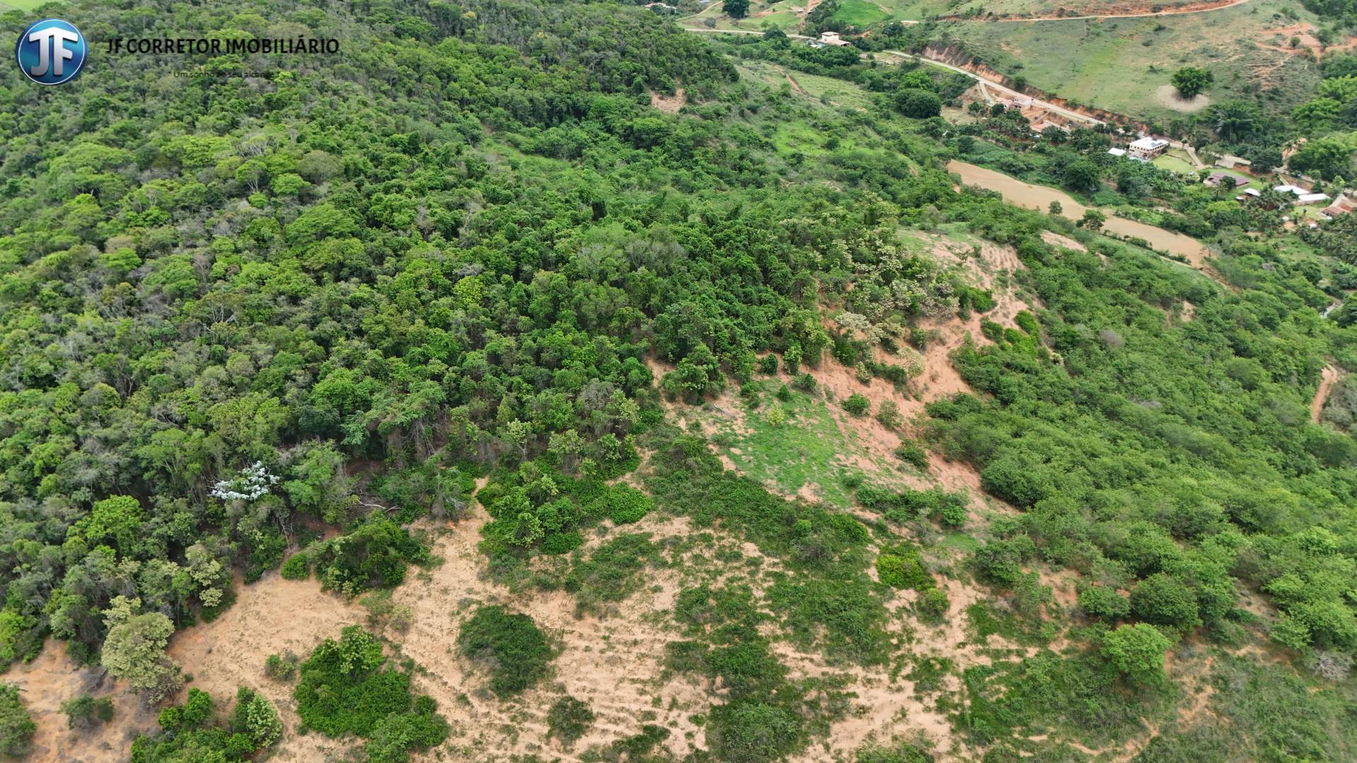 Terreno, 3 hectares - Foto 4