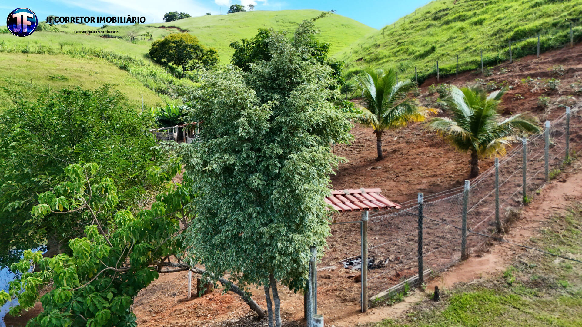 Sítio, 4 quartos, 3 hectares - Foto 3