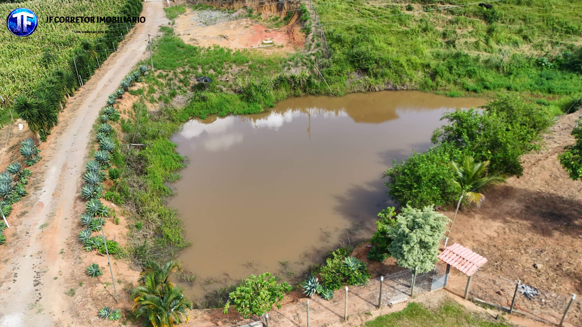 Sítio, 4 quartos, 3 hectares - Foto 4