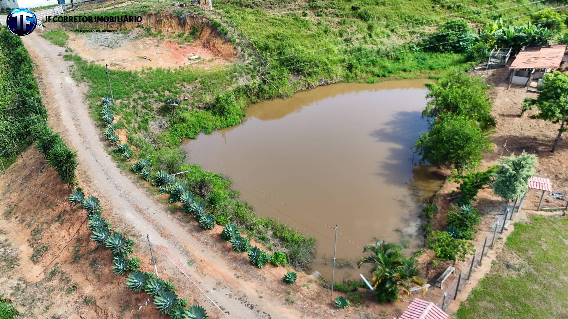 Sítio, 4 quartos, 3 hectares - Foto 5